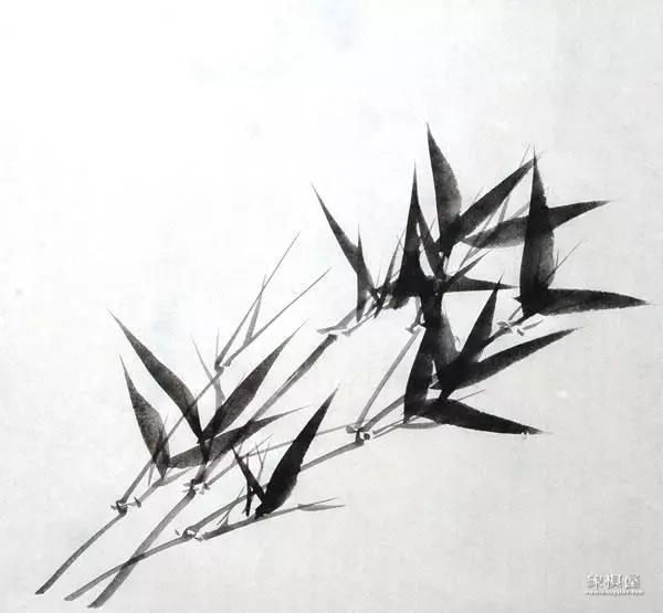 竹子漂亮简单画法