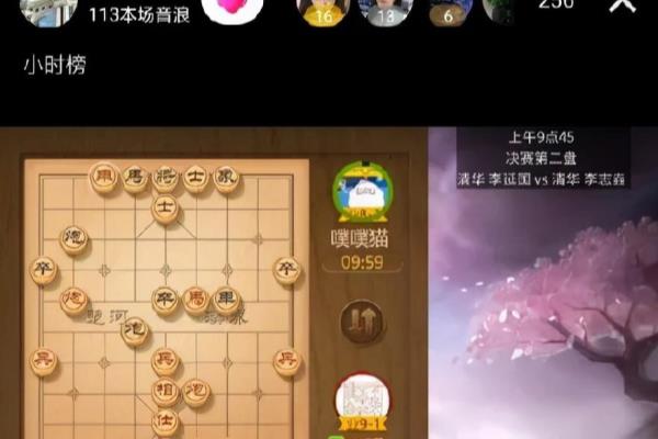 王铁锤远哥下象棋的真实身份（谁是王铁锤远哥下象棋的神秘对手）.