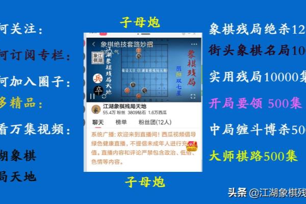 中国象棋无敌智能破解版（破解版象棋智能程序，能否终结棋坛传奇）.