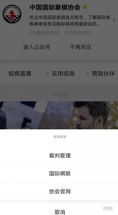 中国国际象棋协会是什么组织
