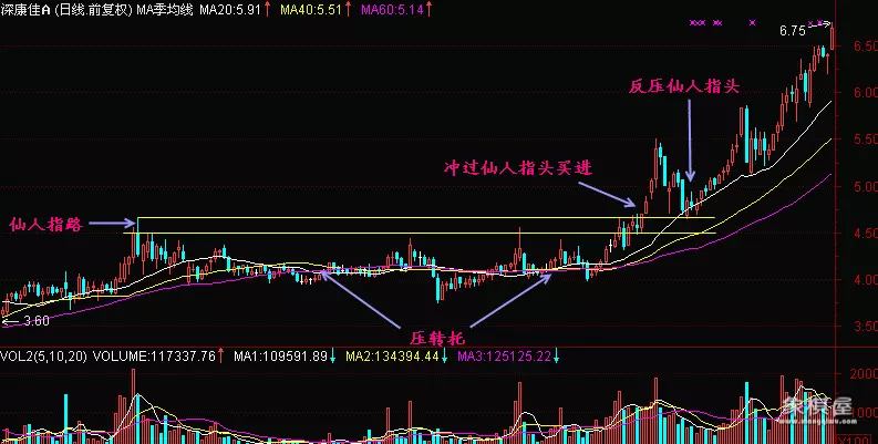 仙人指路买入技巧