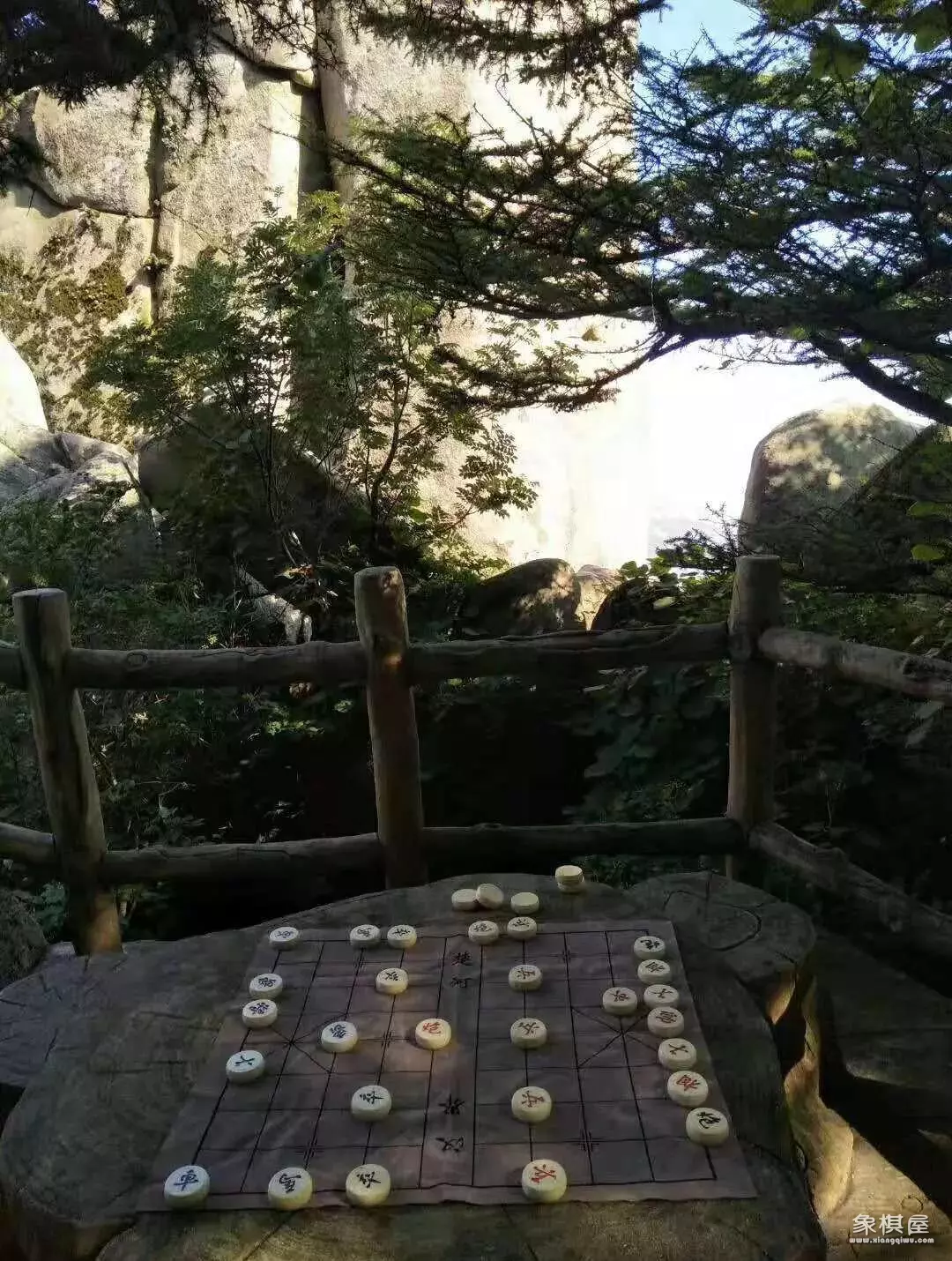 提高象棋水平的书籍