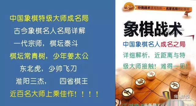 许银川得世界冠军的一盘棋是哪一集