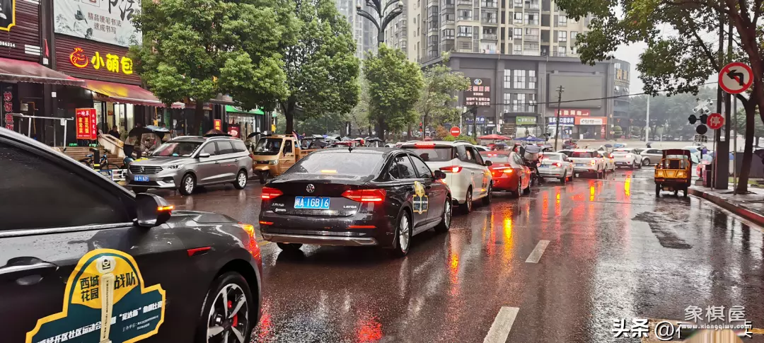 象棋大师从宽是哪里人