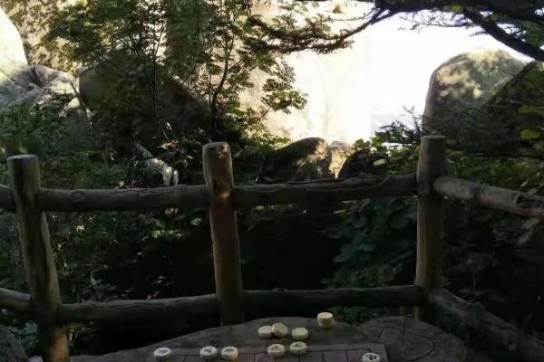 提高象棋水平的书籍（如何通过阅读提升象棋技艺，问鼎棋坛巅峰）.