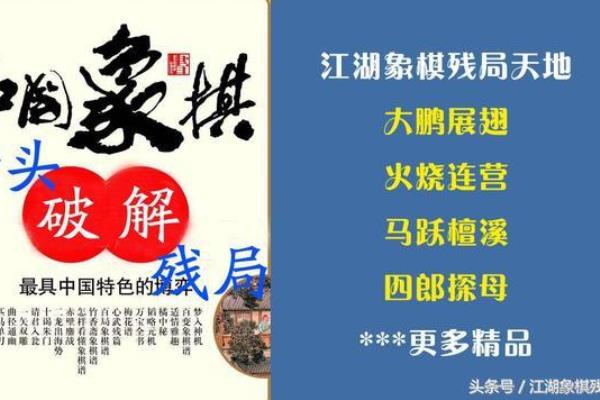 许银川得世界冠军的一盘棋是哪一集（许银川世界冠军之路，巅峰对决尽在这集）.