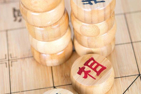 《象棋残局新论》（《破解残局之谜，象棋新论探索未来？》）.