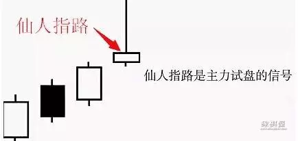 仙人指路布局与骗招仙人指路篇的关系