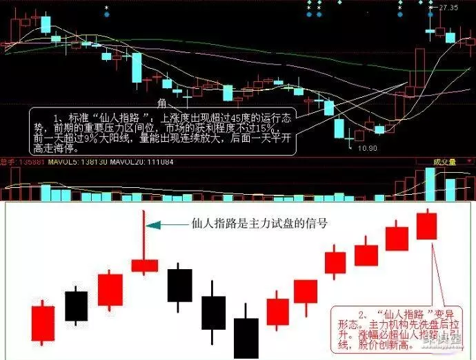 仙人指路布局与骗招仙人指路篇的关系