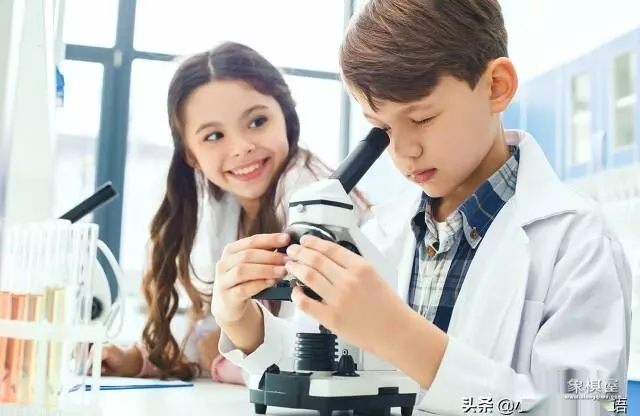 他们喜欢玩象棋的英文