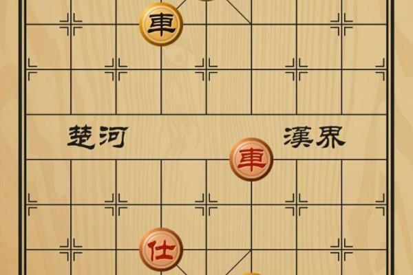 胡荣华vs杨官璘1960（胡荣华与杨官璘1960年巅峰对决，谁将问鼎棋坛）.