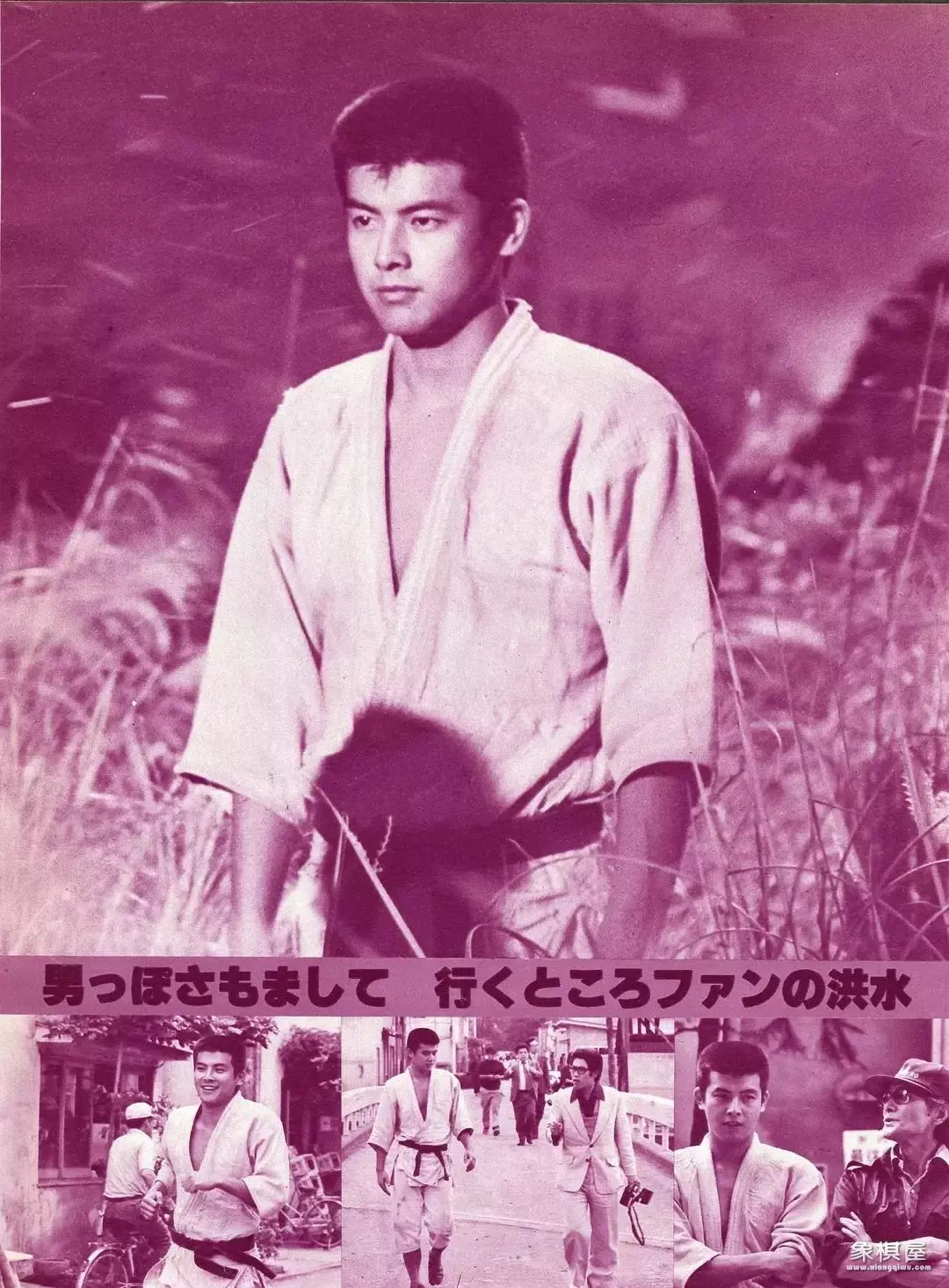 联众象棋和天天象棋哪个厉害