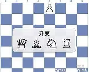 国际象棋入门基本知识