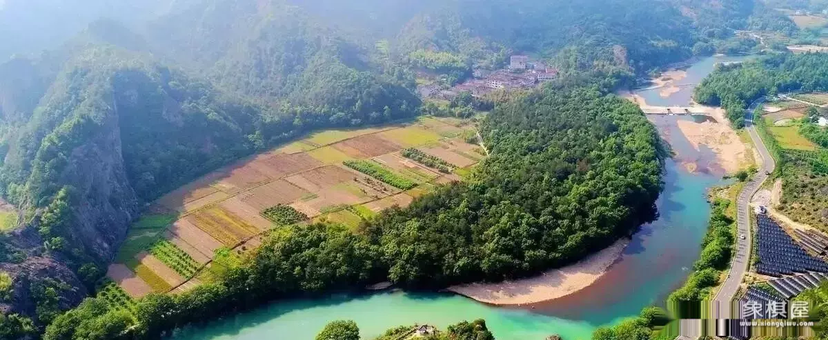 中国象棋竞赛版真的能赚钱吗