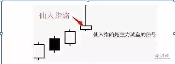 仙人指路战斗力有多强