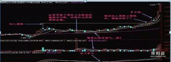 仙人指路战斗力有多强