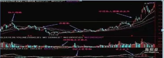 仙人指路战斗力有多强