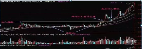 仙人指路战斗力有多强