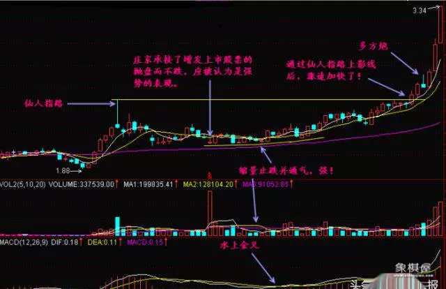 仙人指路9种布局