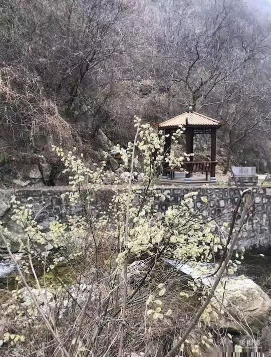 围棋十诀的内容解释