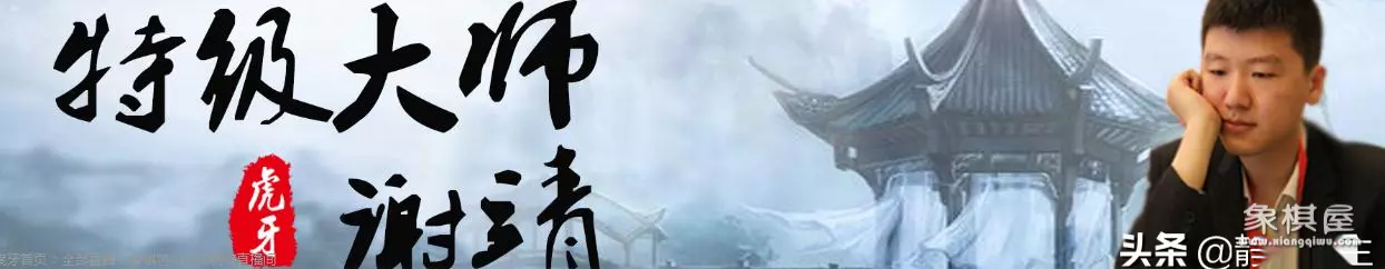 蔚强象棋大师直播