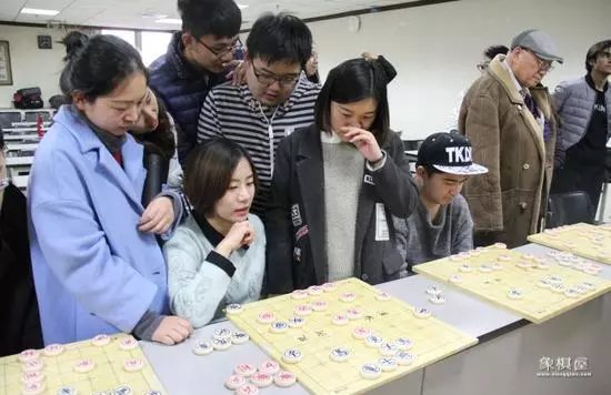 诸葛美象棋大师简介资料及图片