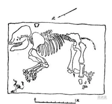 象棋是哪里发明的