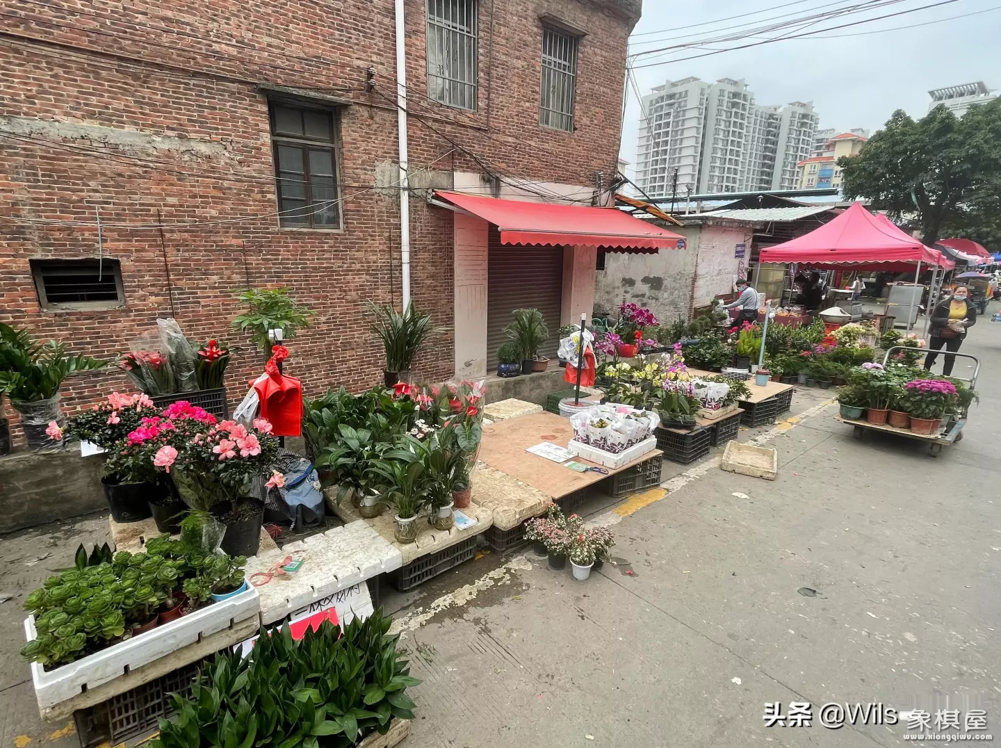 象棋哪里买最便宜