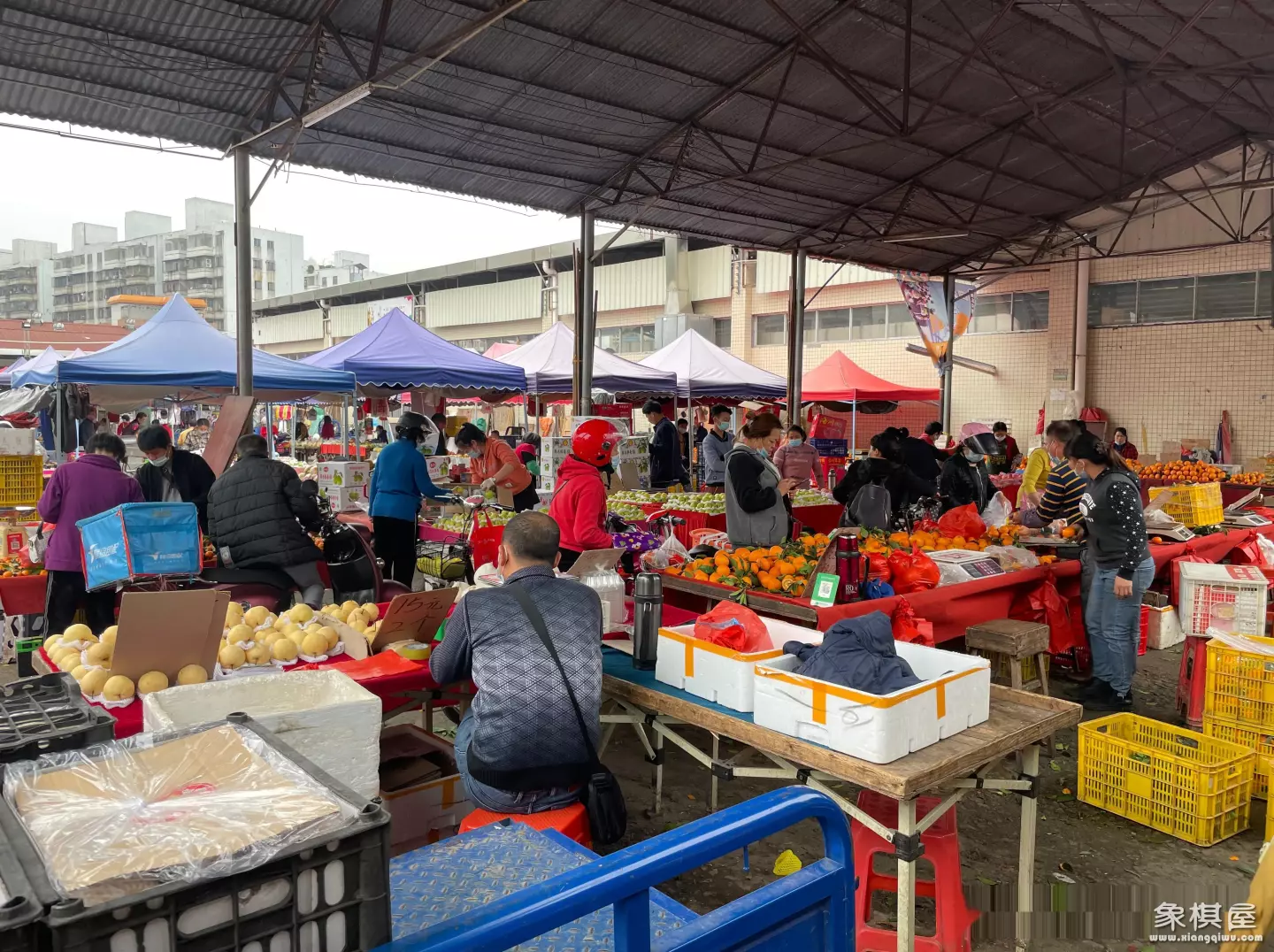 象棋哪里买最便宜