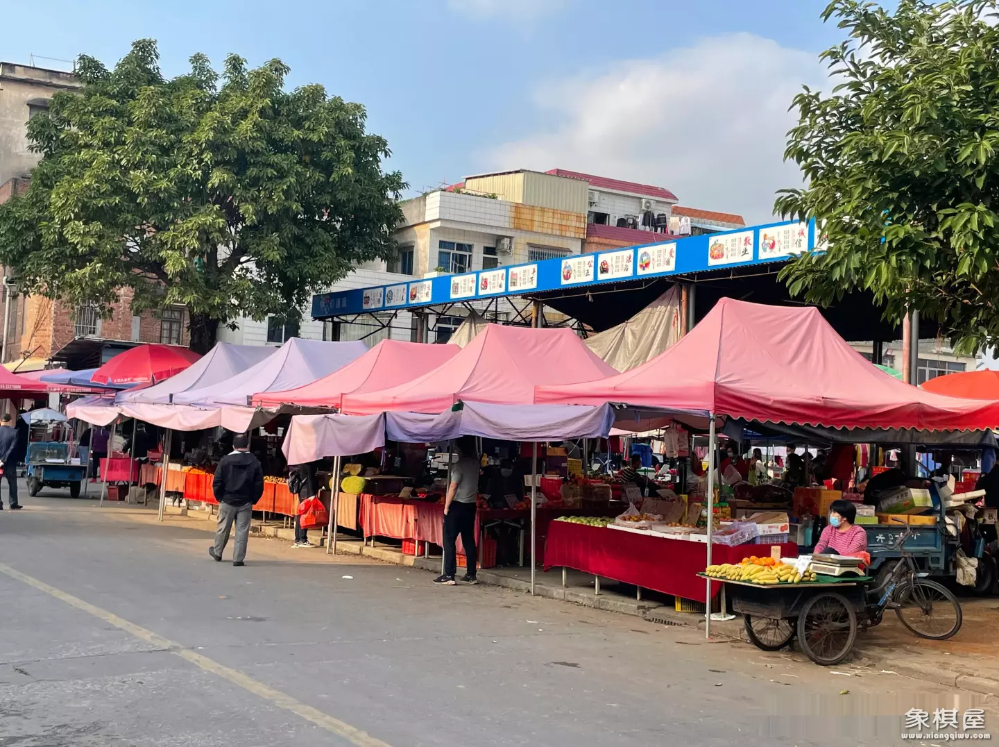 象棋哪里买最便宜