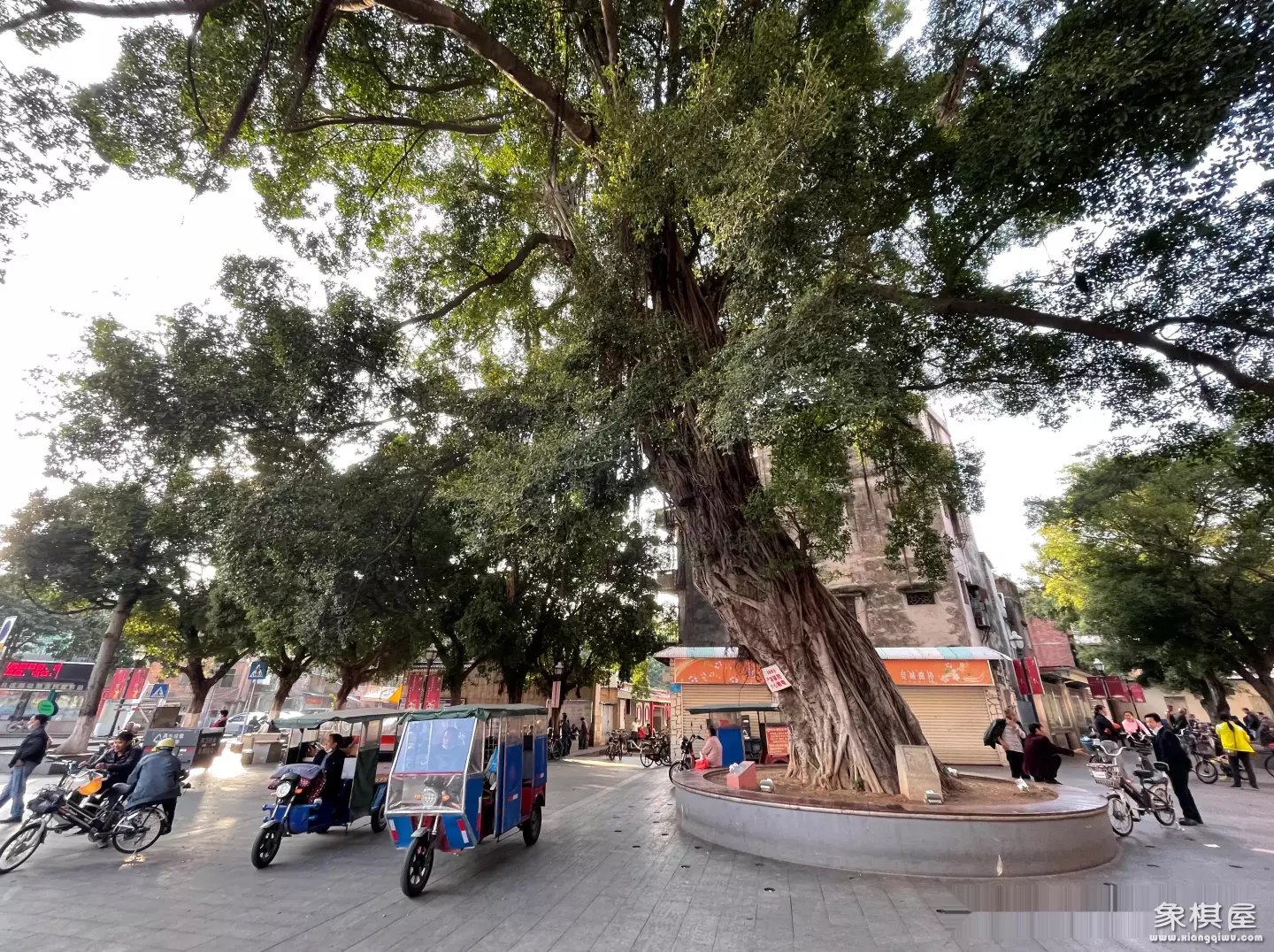 象棋哪里买最便宜