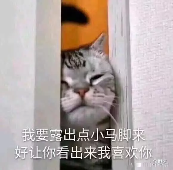 象棋马脚怎么判定图解