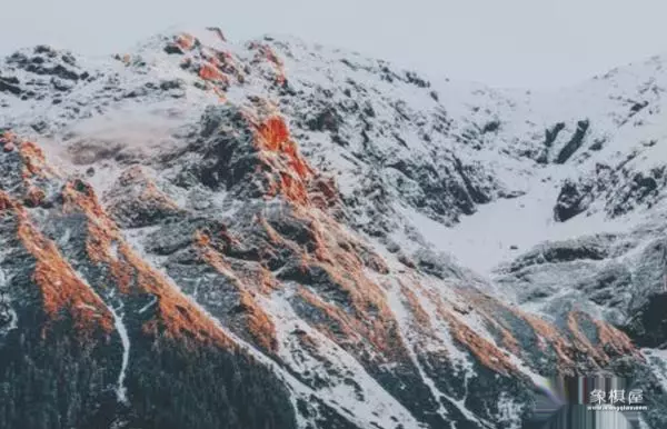 怎样描写象棋神童