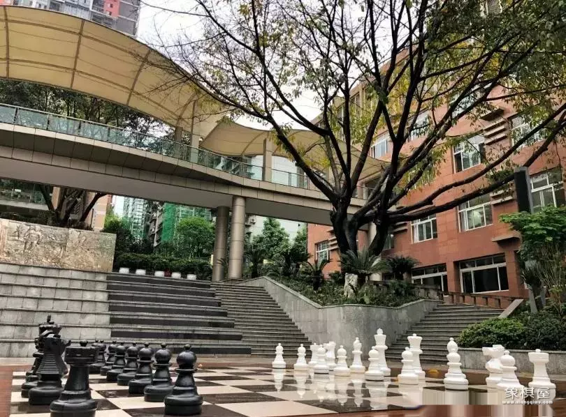 重庆麒麟国际象棋学校