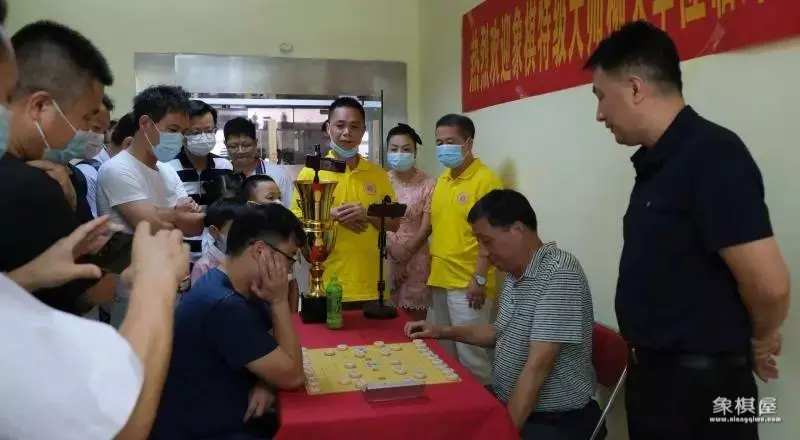 象棋大师柳大华的精彩对局