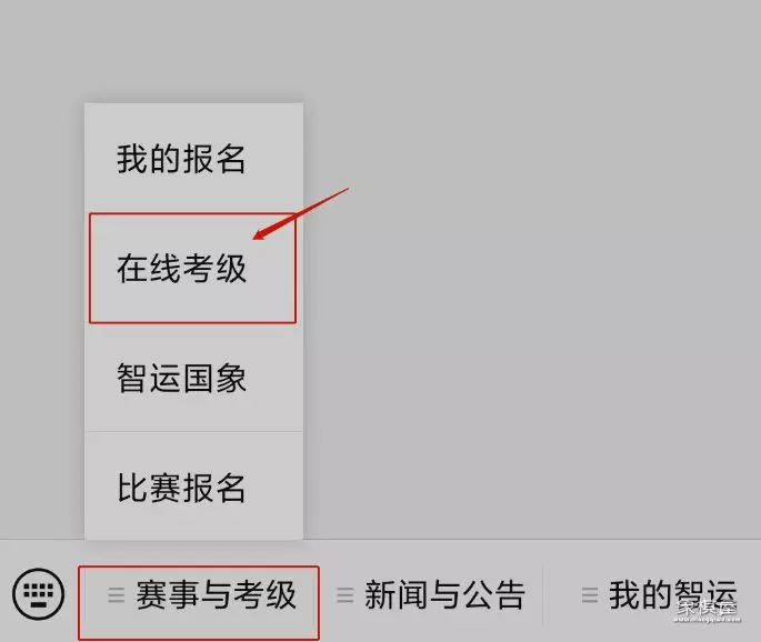 国际象棋考级报名网