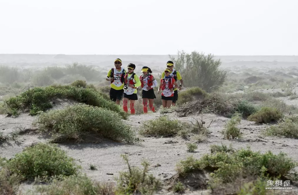 2020象棋残局180关