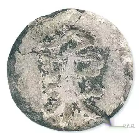 象棋的故事是什么