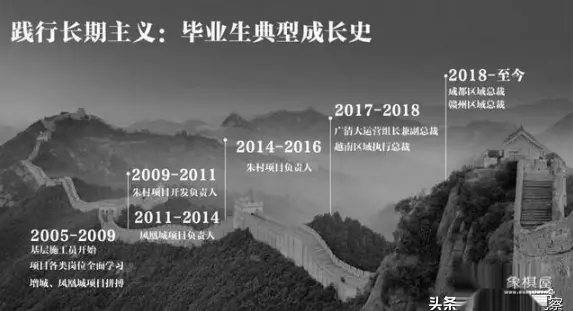 碧桂园许琪百度百科