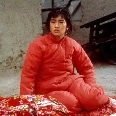 唯一被除名的国家一级演员(31)