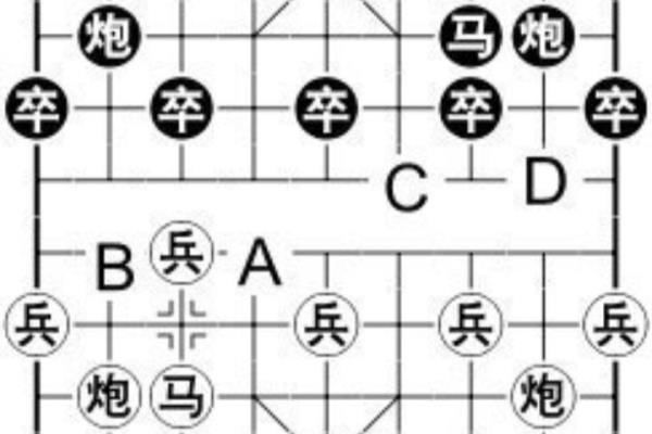 象棋里的士是不是只能斜着走.