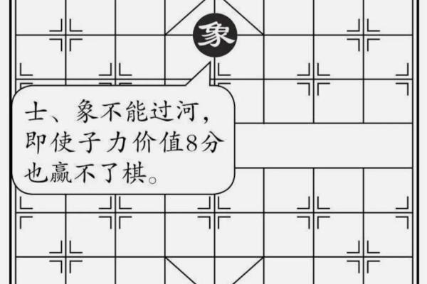 象棋中最弱的棋子.