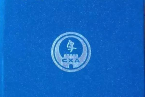 中国象棋协会认证的象棋考试等级是什么.