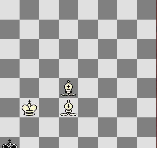 国际象棋双象杀王难不难(10)