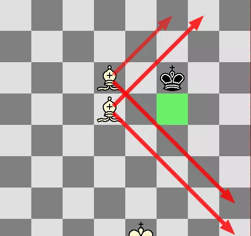 国际象棋双象杀王难不难(16)