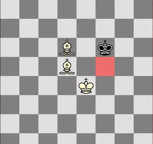 国际象棋双象杀王难不难(17)