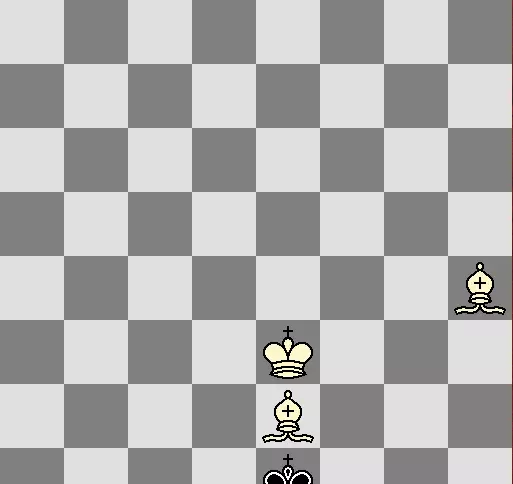 国际象棋双象杀王难不难(8)