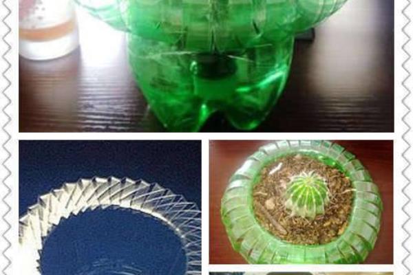 象棋怎么买什么什么说盆