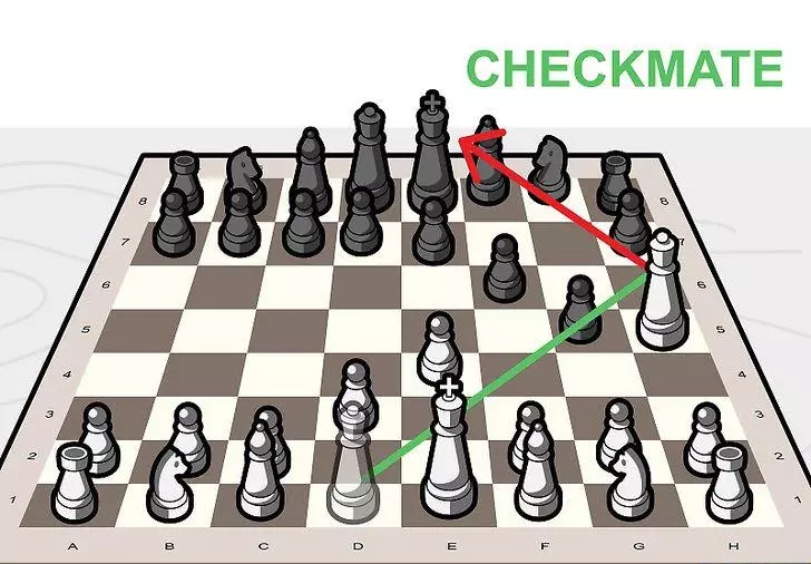 国际象棋怎么下(24)