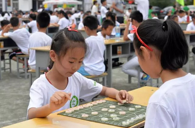 象棋多少棋子,都是什么?(7)